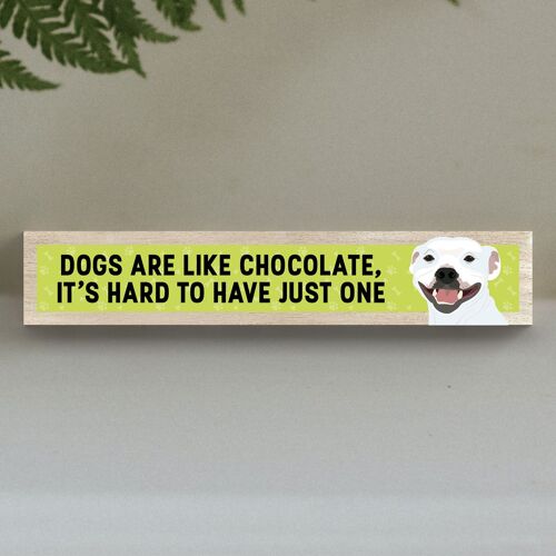 P6278 - Staffie Like Chocolate Hard To Have One Katie Pearson Artworks Wooden Momento Block