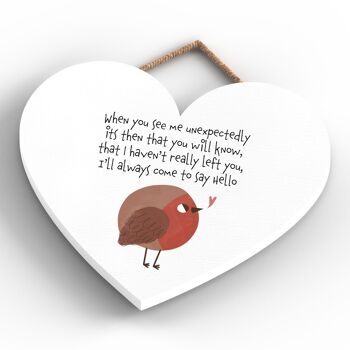 P6925 - Plaque commémorative sentimentale en forme de cœur sur le thème Come To Say Hello Robin 4