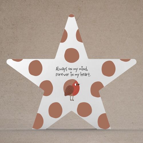 P6928 - Always On My Mind Robin Themed Star Shaped Sentimental Remembrance Plaque