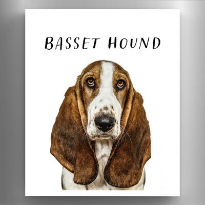 P6965 – Bassett Hound Gruff Pawtraits Hundefotografie, bedruckter Holzmagnet, Hundemotiv, Heimdekoration