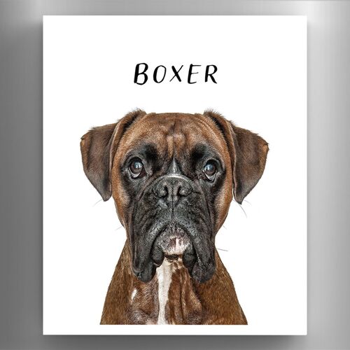 P6967 - Boxer Gruff Pawtraits Dog Photography Printed Wooden Magnet Dog Themed Home Decor