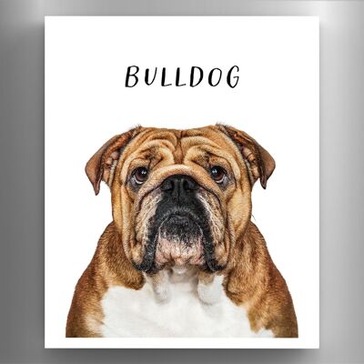 P6968 – Bulldogge, Gruff Pawtraits, Hundefotografie, bedruckter Holzmagnet, Hundemotiv, Heimdekoration
