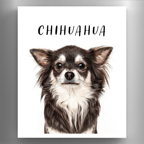 P6969 - Chihuahua Gruff Pawtraits Dog Photography Printed Wooden Magnet Dog Themed Home Decor