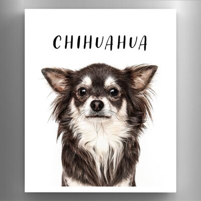 P6969 – Chihuahua Gruff Pawtraits Hundefotografie, bedruckter Holzmagnet, Hundemotiv, Heimdekoration