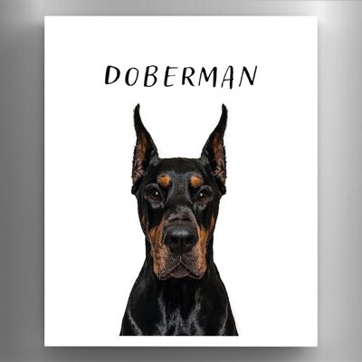 P6973 - Doberman Gruff Pawtraits Fotografía de perro Impreso Imán de madera Decoración para el hogar con temática de perro