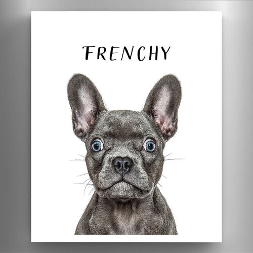 P6974 - Frenchy Gruff Pawtraits Dog Photography Printed Wooden Magnet Dog Themed Home Decor