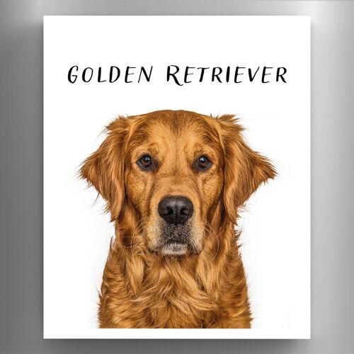 P6975 - Golden Retriever Gruff Pawtraits Dog Photography Printed Wooden Magnet Dog Themed Home Decor