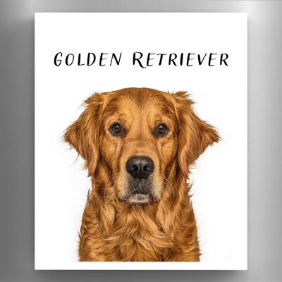 P6975 – Golden Retriever Gruff Pawtraits Hundefotografie, bedruckter Holzmagnet, Hundemotiv, Heimdekoration