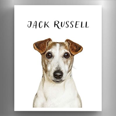 P6976 - Jack Russell Gruff Pawtraits Fotografía de perro Impreso Imán de madera Decoración para el hogar con temática de perro