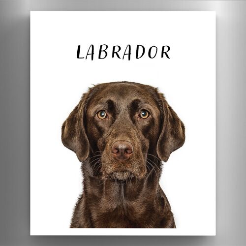 P6977 - Labrador Gruff Pawtraits Dog Photography Printed Wooden Magnet Dog Themed Home Decor