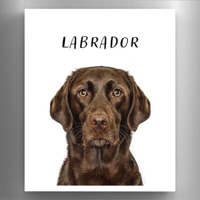 P6977 – Labrador Gruff Pawtraits Hundefotografie, bedruckter Holzmagnet, Hundemotiv, Heimdekoration