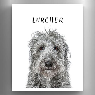 P6978 – Lurcher Gruff Pawtraits Hundefotografie, bedruckter Holzmagnet, Hundemotiv, Heimdekoration