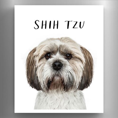 P6980 - Shih Tzu Gruff Pawtraits Dog Photography Printed Wooden Magnet Dog Themed Home Decor