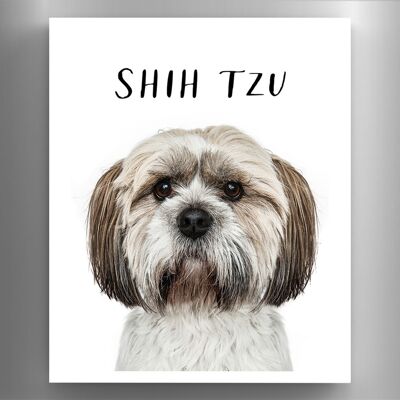 P6980 – Shih Tzu Gruff Pawtraits Hundefotografie, bedruckter Holzmagnet, Hundemotiv, Heimdekoration