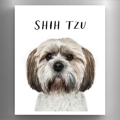 P6980 - Shih Tzu Gruff Pawtraits Dog Photography Printed Wooden Magnet Dog Themed Home Decor