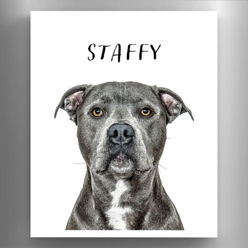 P6981 - Staffy Gruff Pawtraits Dog Photography Printed Wooden Magnet Dog Themed Home Decor