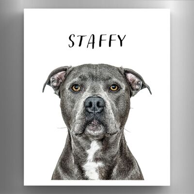 P6981 - Staffy Gruff Pawtraits Fotografía de perro Impreso Imán de madera Decoración para el hogar con temática de perro