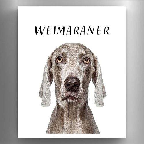 P6982 - Weimaraner Gruff Pawtraits Dog Photography Printed Wooden Magnet Dog Themed Home Decor