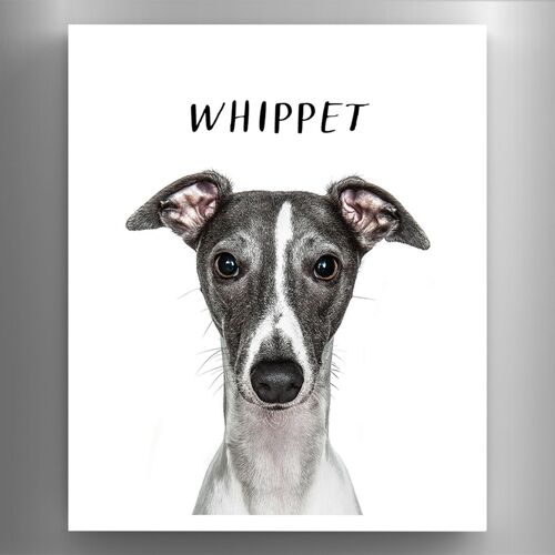 P6983 - Whippet Gruff Pawtraits Dog Photography Printed Wooden Magnet Dog Themed Home Decor