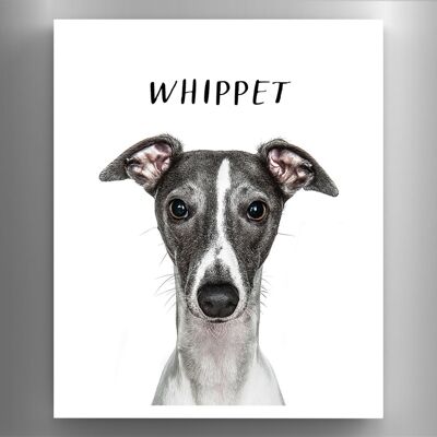 P6983 - Whippet Gruff Pawtraits Fotografía de perro Impreso Imán de madera Decoración para el hogar con temática de perro