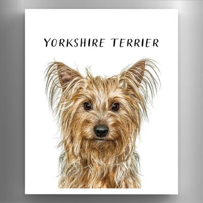 P6984 – Yorkshire Terrier Gruff Pawtraits Hundefotografie, bedruckter Holzmagnet, Hundemotiv, Heimdekoration