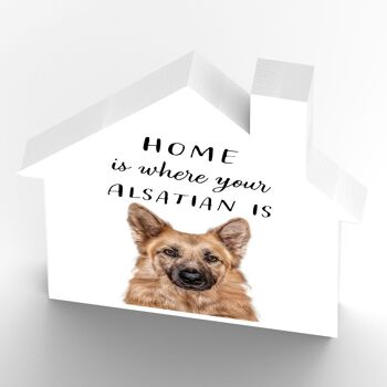 P6985 - Alsacien Gruff Pawtraits Dog Photography Imprimé Maison en bois Dog Themed Home Decor 3