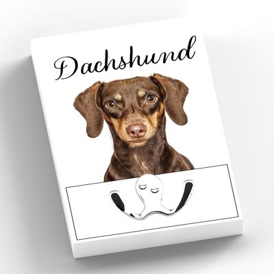 P7014 – Dachshund Gruff Pawtraits Hundefotografie Bedruckter Holzbleihaken mit Hundemotiv als Heimdekoration