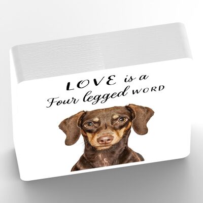 P7056 - Dachshund Gruff Pawtraits Dog Photography Printed Wooden Block Dog Themed Home Decor