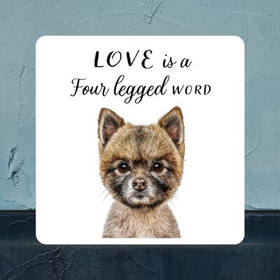 P7063 - Pomeranian Gruff Pawtraits Dog Photography Printed Wooden Block Dog Themed Home Decor