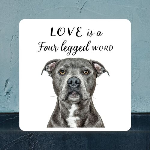 P7065 - Staffy Gruff Pawtraits Dog Photography Printed Wooden Block Dog Themed Home Decor