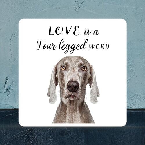 P7066 - Weimaraner Gruff Pawtraits Dog Photography Printed Wooden Block Dog Themed Home Decor