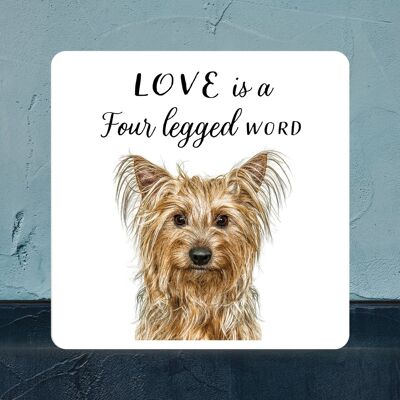 P7068 – Yorkshire Terrier, Gruff Pawtraits, Hundefotografie, bedruckter Holzblock, Hundemotiv, Heimdekoration