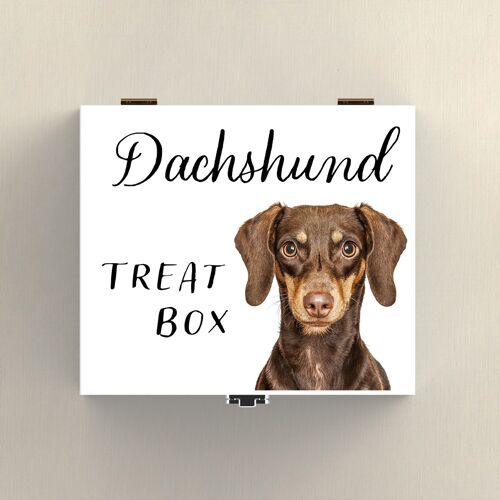 P7077 - Dachshund Gruff Pawtraits Dog Photography Printed Wooden Treat Box Dog Themed Home Decor