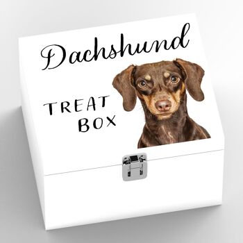 P7077 - Dachshund Gruff Pawtraits Dog Photography Imprimé Boîte à friandises en bois Décor à la maison sur le thème du chien 2