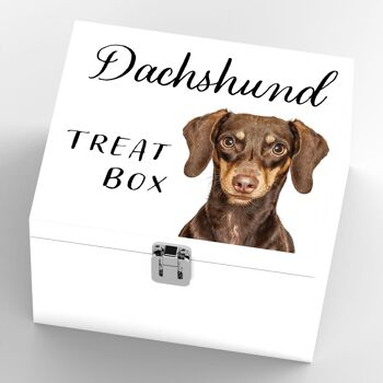 P7077 - Dachshund Gruff Pawtraits Dog Photography Imprimé Boîte à friandises en bois Décor à la maison sur le thème du chien 4