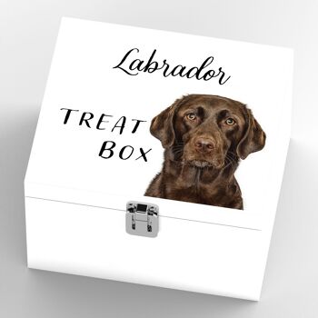 P7082 - Labrador Gruff Pawtraits Dog Photography Imprimé Boîte à friandises en bois Décor à la maison sur le thème du chien 4