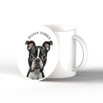 P7092 - Boston Terrier Gruff Pawtraits Chien Photographie Imprimé Dessous De Verre En Céramique Chien Décor À La Maison