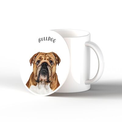 P7094 - Bulldog Gruff Pawtraits Fotografía de perro Impreso Posavasos de cerámica Decoración para el hogar con temática de perro