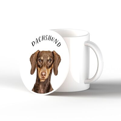 P7098 - Dachshund Gruff Pawtraits Fotografía de perro Impreso Posavasos de cerámica Decoración para el hogar con temática de perro