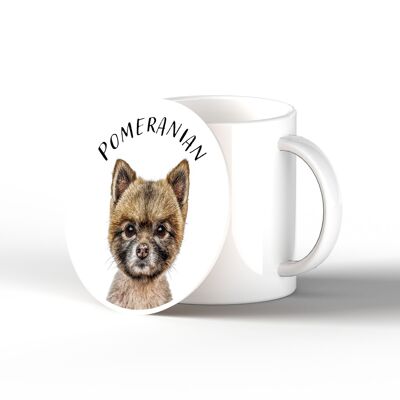 P7105 - Pomeranian Gruff Pawtraits Fotografía de perro Impreso Posavasos de cerámica Decoración para el hogar con temática de perro