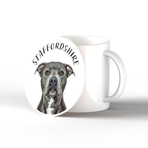 P7107 - Staffy Gruff Pawtraits Dog Photography Printed Ceramic Coaster Dog Themed Home Decor