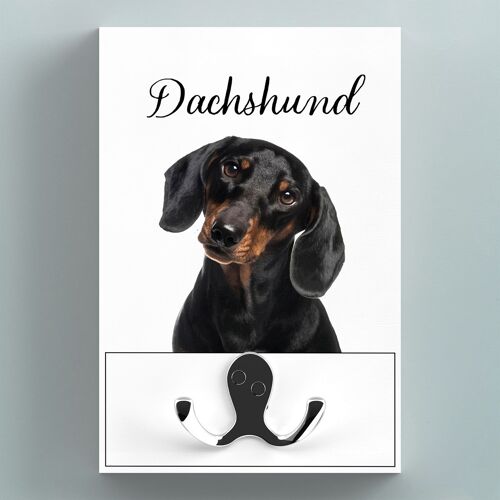 P7218 - Dachshund Wall Hanging Wooden Lead Hook Gift Idea For Dog Lovers