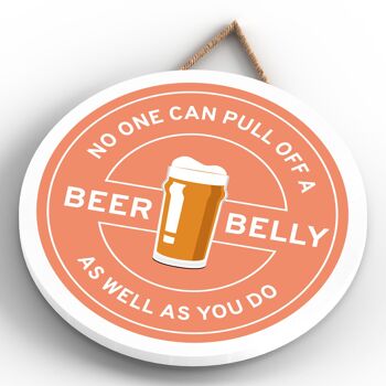 P7602 - Idée cadeau drôle de plaque décorative sur le thème de l'alcool de ventre de bière 4