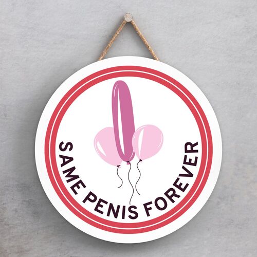 P7632 - Same Penis Forever Humour Themed Funny Decorative Plaque Secret Santa Gift Idea