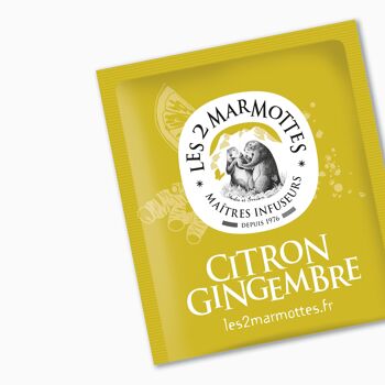 Infusion Citron Gingembre - Nouveauté -  pour souffler le chaud et le froid 3