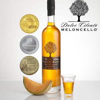 Meloncello Melon Liquor 700ml 25% Dolce Cilento Meloncello Cantaloupe Italian Liqueur 3 Medals