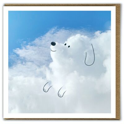 A Daily Cloud Funny Photographic Dog Birthday Card