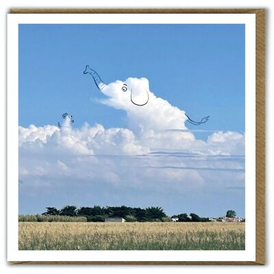 A Daily Cloud Funny Photographic Elephant and Mouse Birthday Card