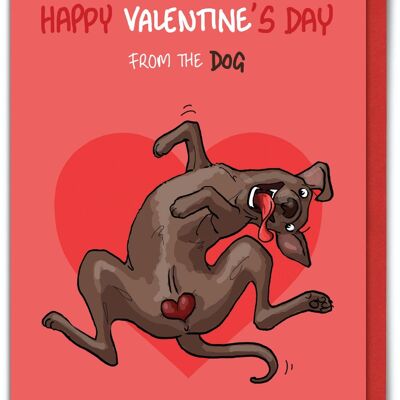 Funny Bryony Walters Valentines Card - From Dog