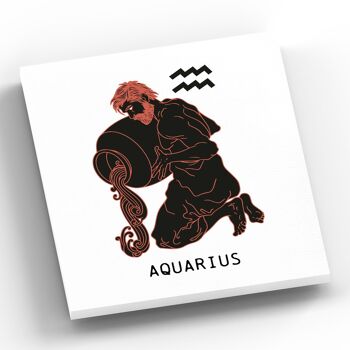 P8079 - Aquarius Terracotta On White Zodiac Symbol Star Sign Themed Wooden Wall or Standing Plaque 2